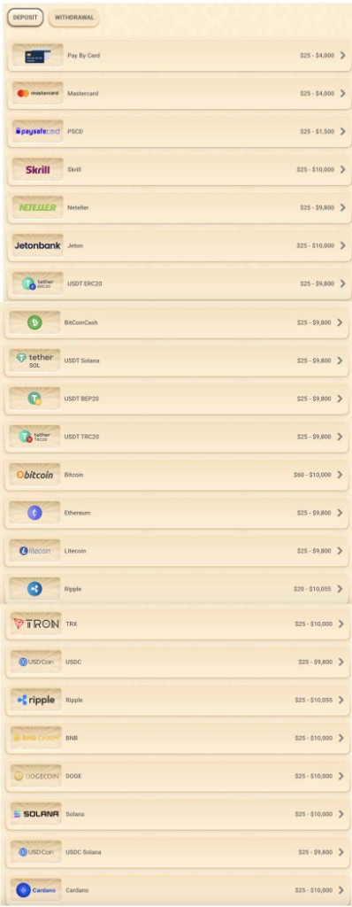 Vegasino deposit methods screenshot