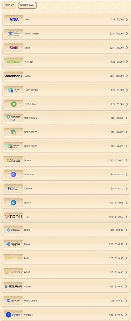 Vegasino withdrawal methods screenshot